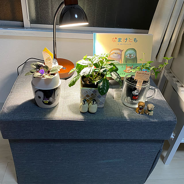 momokichiさんの実例写真