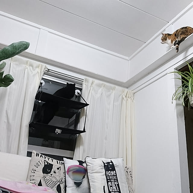 taleo07さんの実例写真