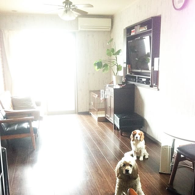 IZUMIさんの実例写真