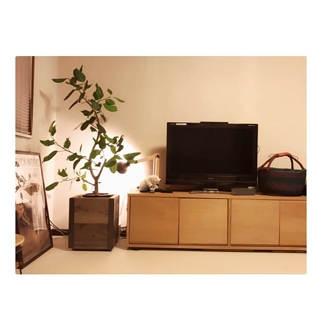 miiksさんの実例写真