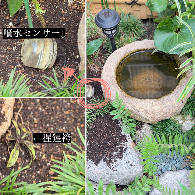 faunさんの実例写真