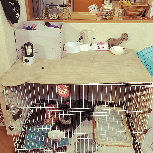 Mikaさんの実例写真