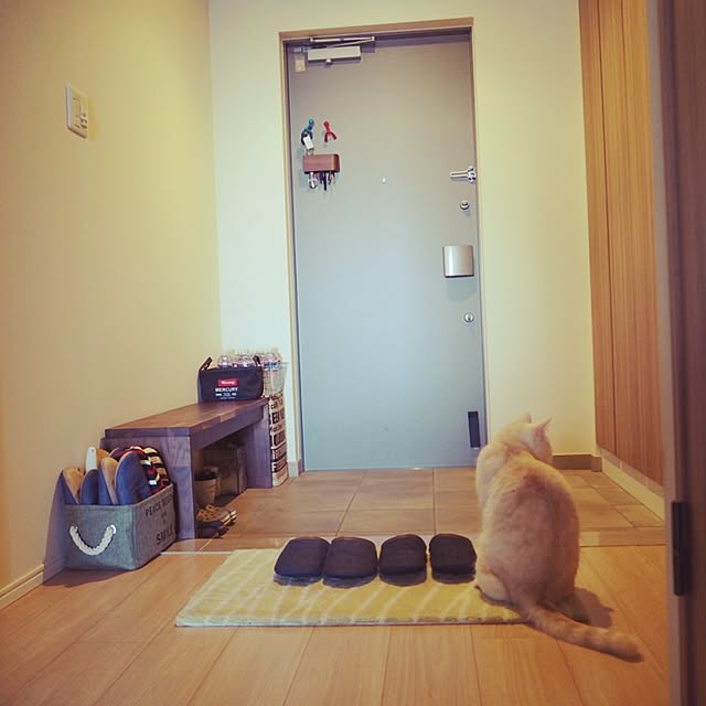y.k.0123さんの実例写真