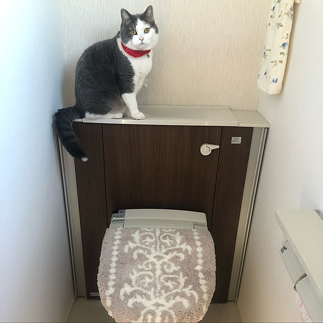 Michinekoさんの実例写真
