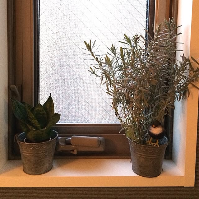 Hirokoさんの実例写真