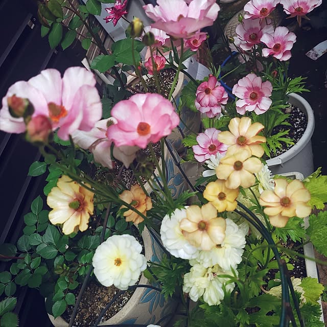 mimi828さんの部屋