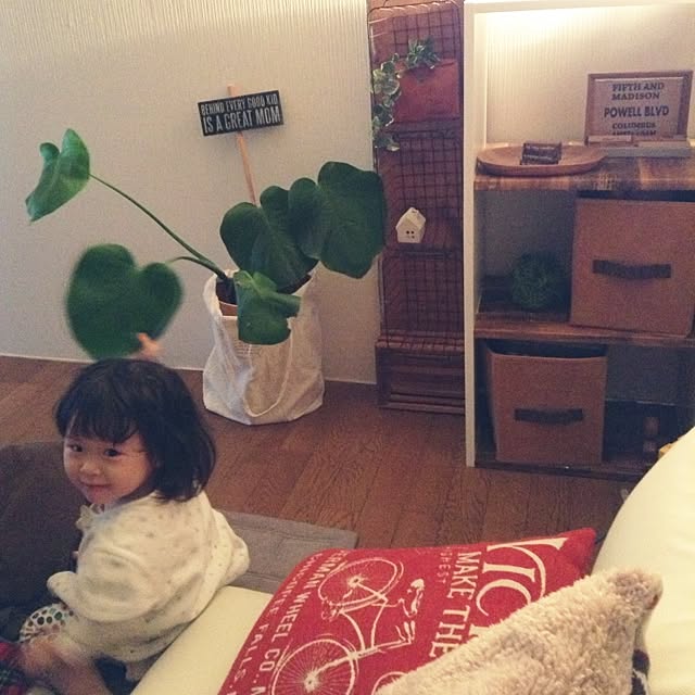 studio-fleurさんの実例写真