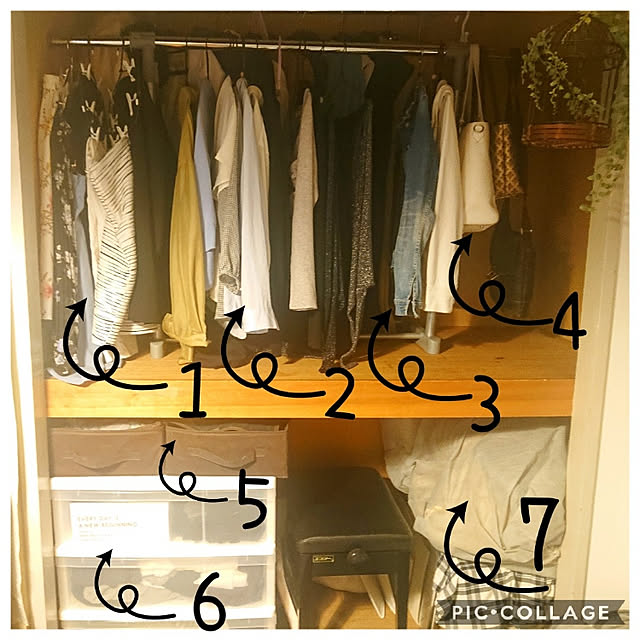 Ayatyさんの実例写真