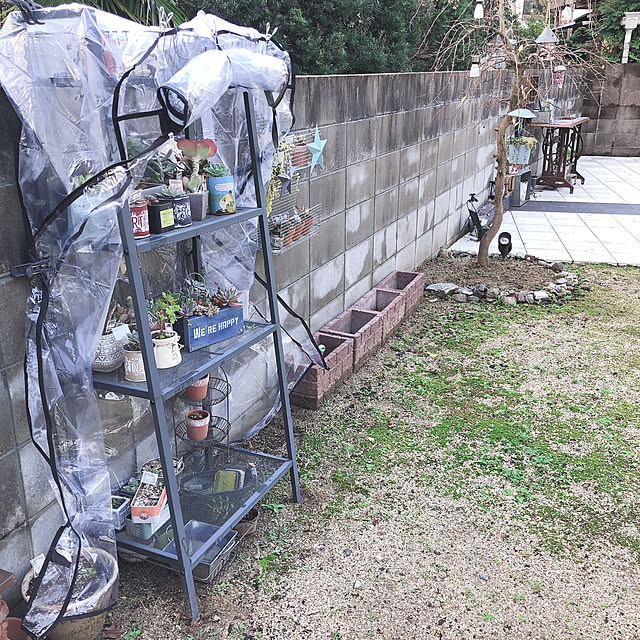 craneさんの実例写真