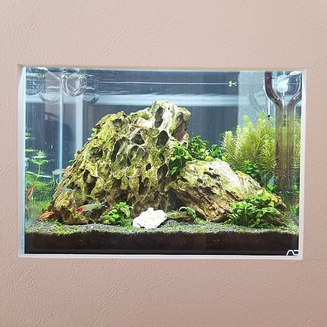 shimaaadsさんの実例写真