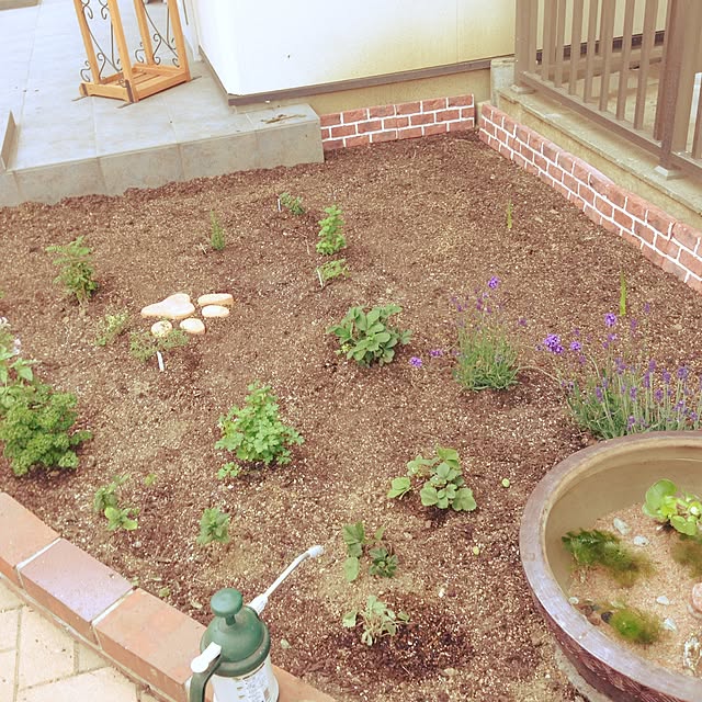 aoiさんの実例写真