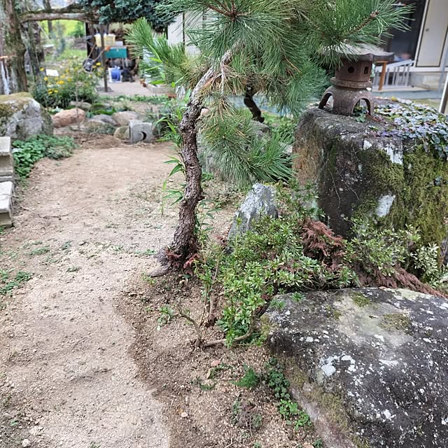 sumimarumiさんの部屋