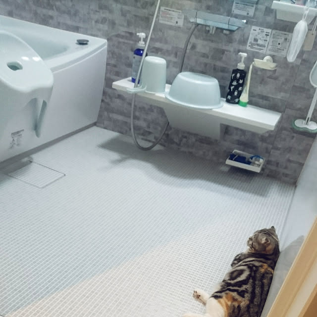 takiko0407さんの実例写真