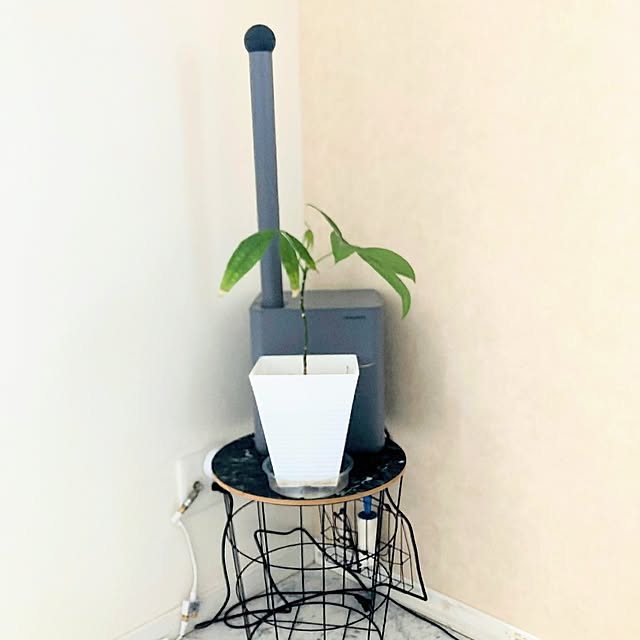 MOMOMAMAさんの部屋