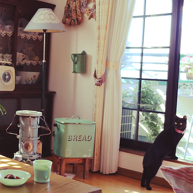 Satotanさんの実例写真