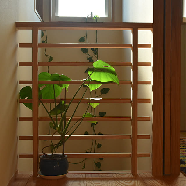 yu_s.anさんの実例写真