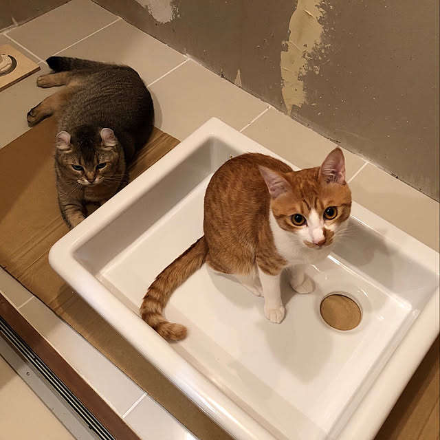 Emiさんの実例写真