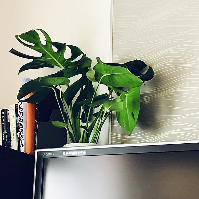 Marinさんの実例写真