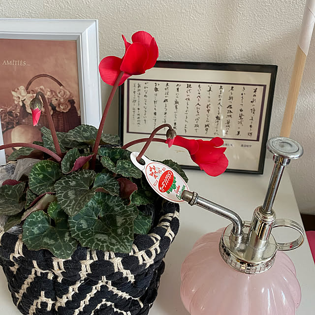 konekoginjiさんの実例写真