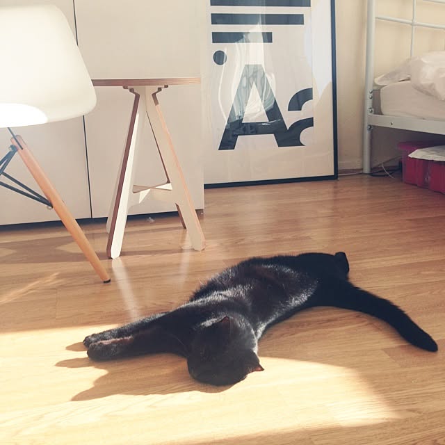 awachan77さんの実例写真