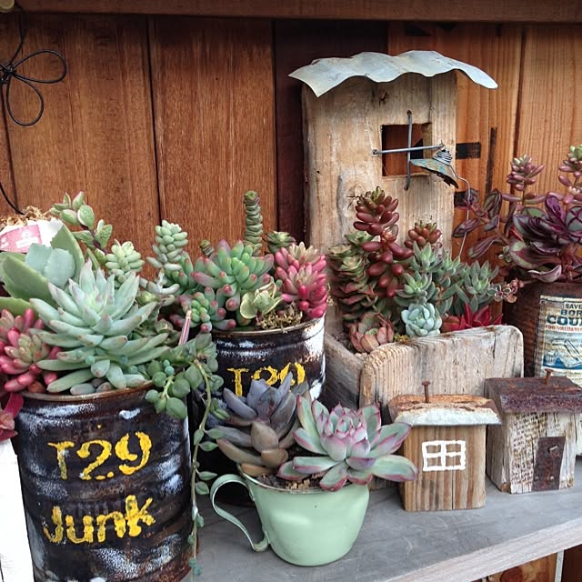 pokkeさんの実例写真