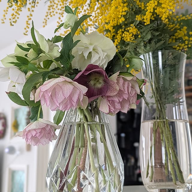 fumitanさんの部屋