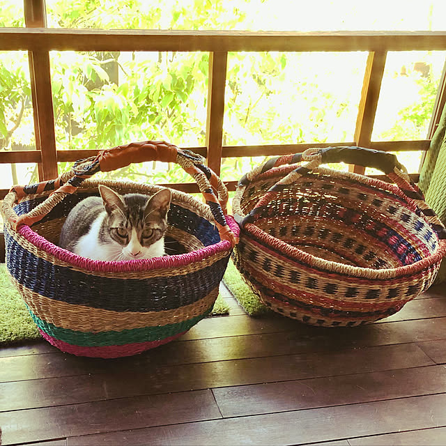 Oreoさんの実例写真