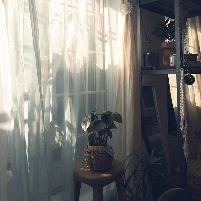 nobuさんの実例写真