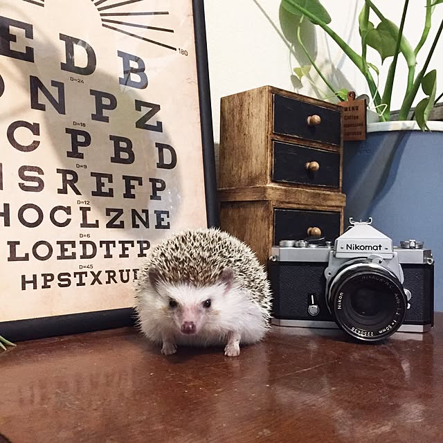 yu_kiさんの実例写真