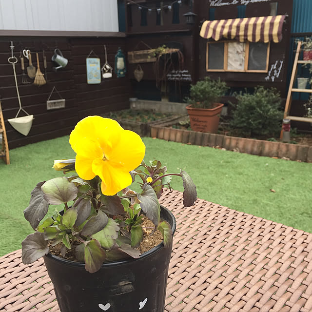 yokochinさんの実例写真