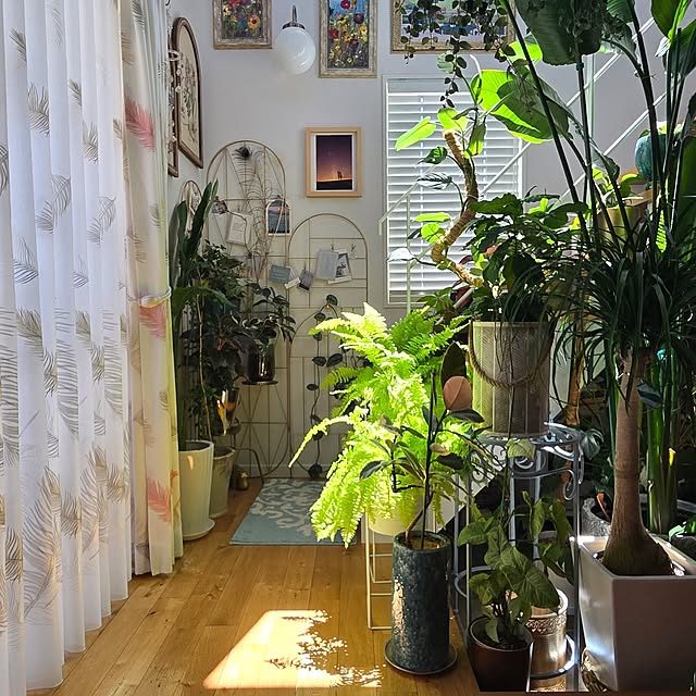 nonbiri_house_さんの実例写真