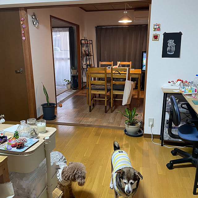 muwaさんの部屋