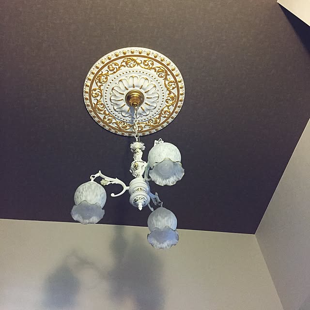 lavie0125さんの実例写真