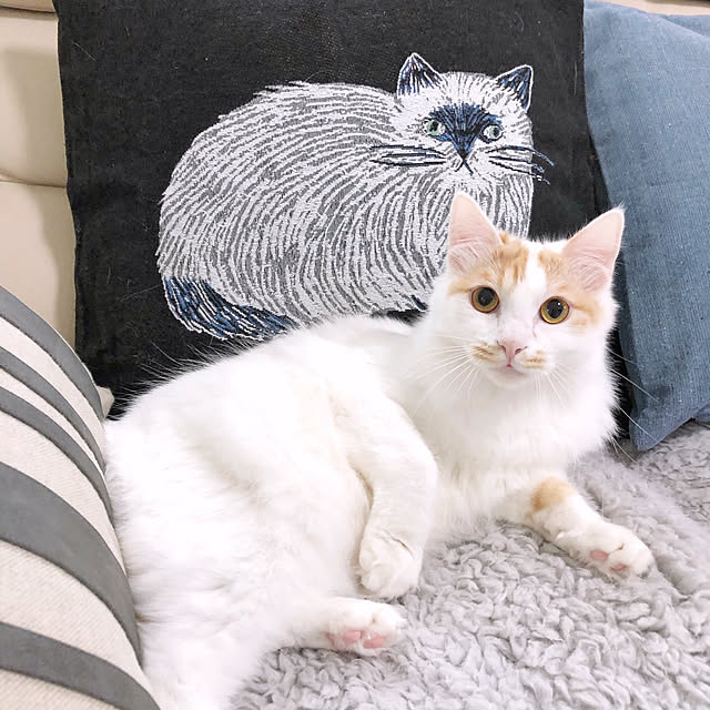 yuchiさんの実例写真