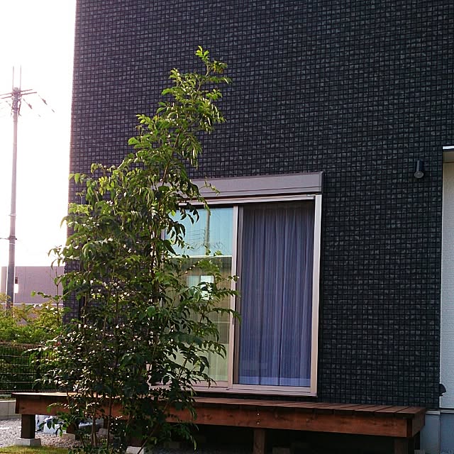 部屋全体のインテリア実例 - 2015-04-03 12:38:58