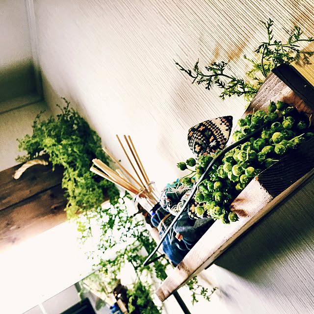 Rans_andy.さんの実例写真