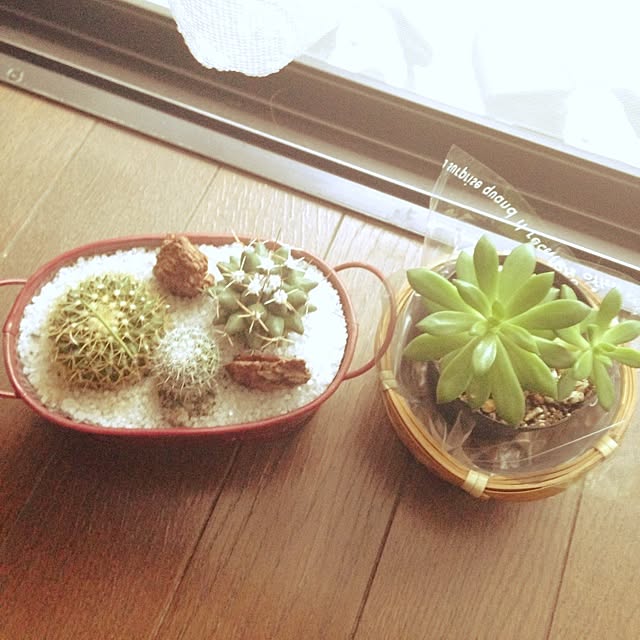 kuru3さんの実例写真