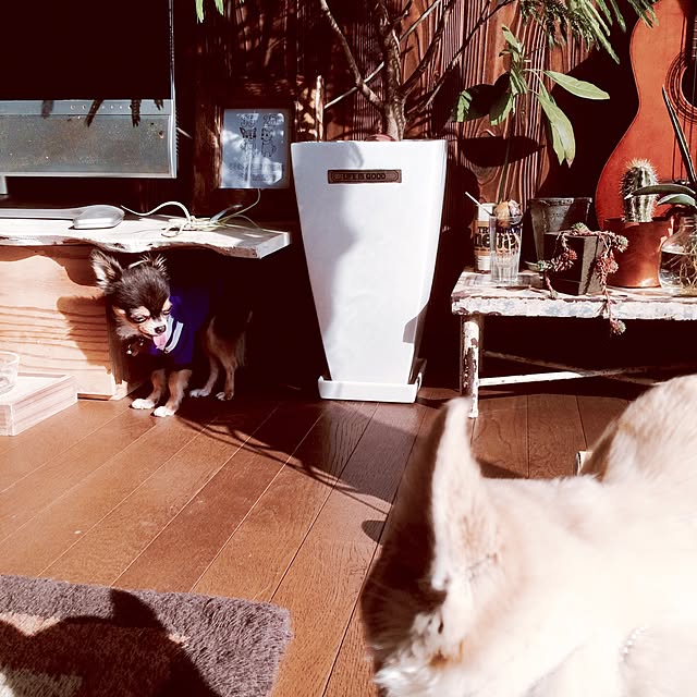 88さんの実例写真