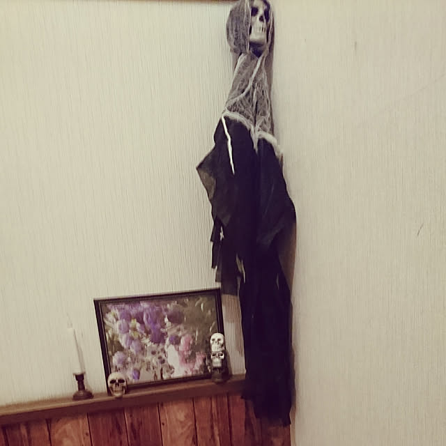 CHIBIさんの実例写真