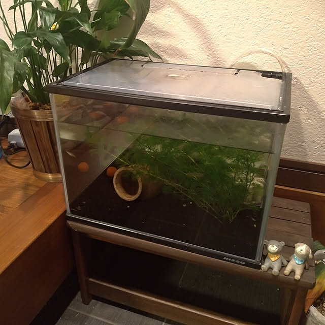 tomo5さんの実例写真