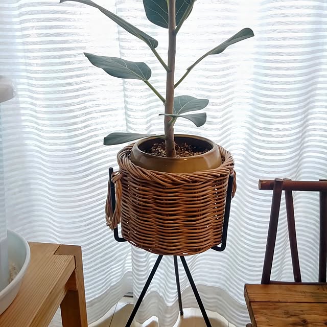 kerochanさんの部屋