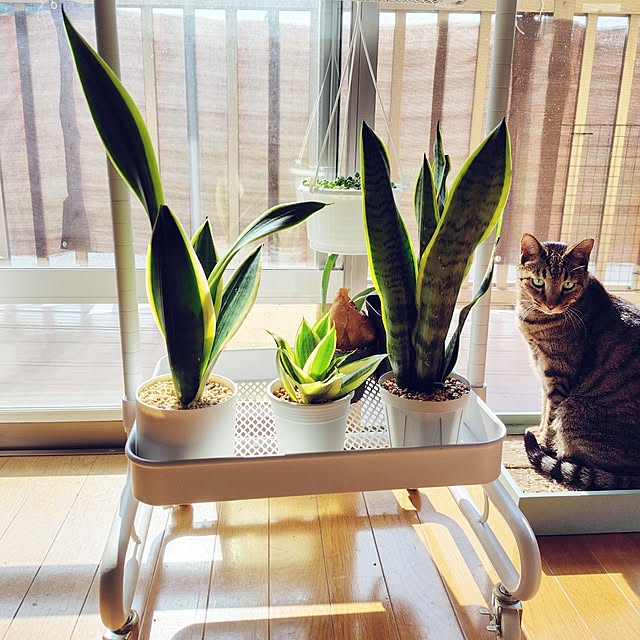 nachiさんの部屋