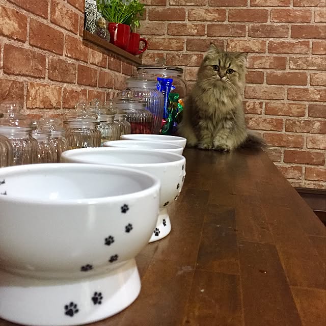 butachanさんの実例写真