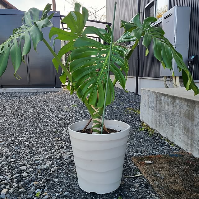 Rubiconさんの部屋