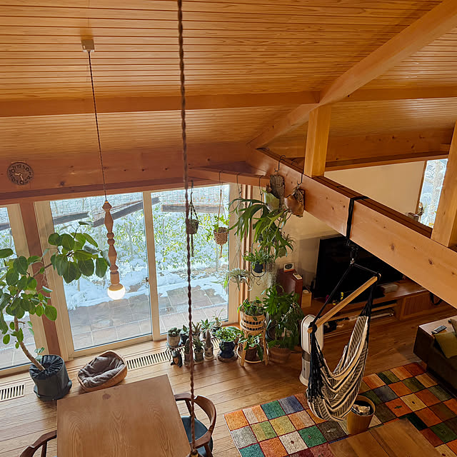 部屋全体/ハンモックのある暮らし/トゲトゲと猫/小春日和の猫/窓辺のインテリア...などのインテリア実例 - 2026-01-17 22:51:26