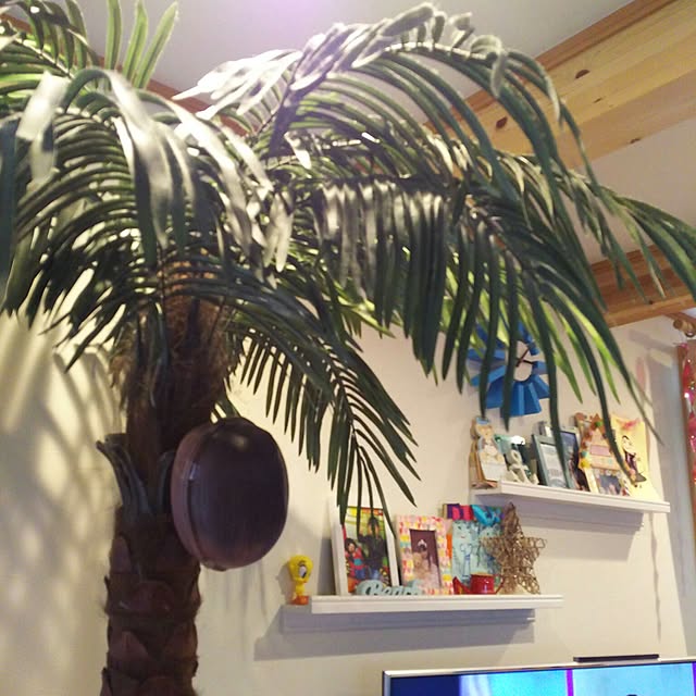 am-mms70さんの実例写真
