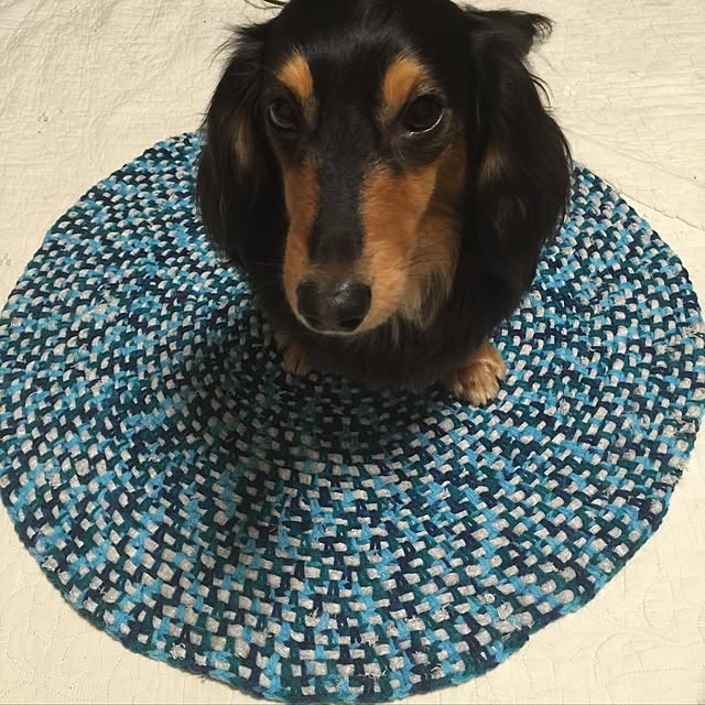 urucotoさんの実例写真