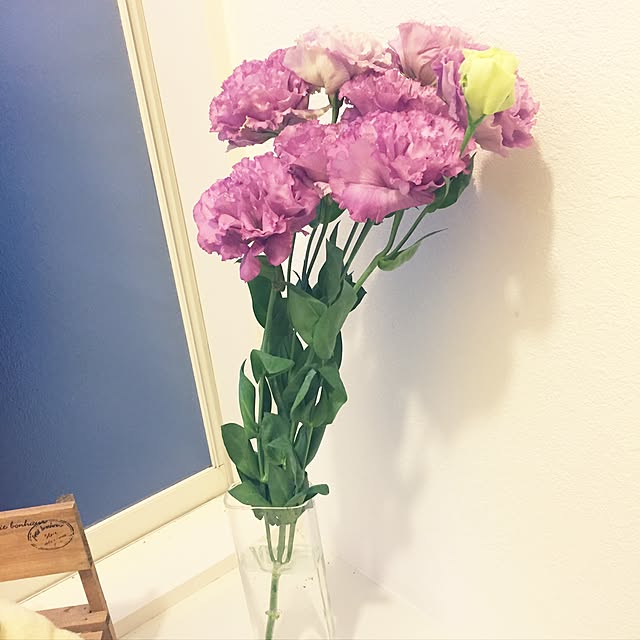 hitoさんの実例写真