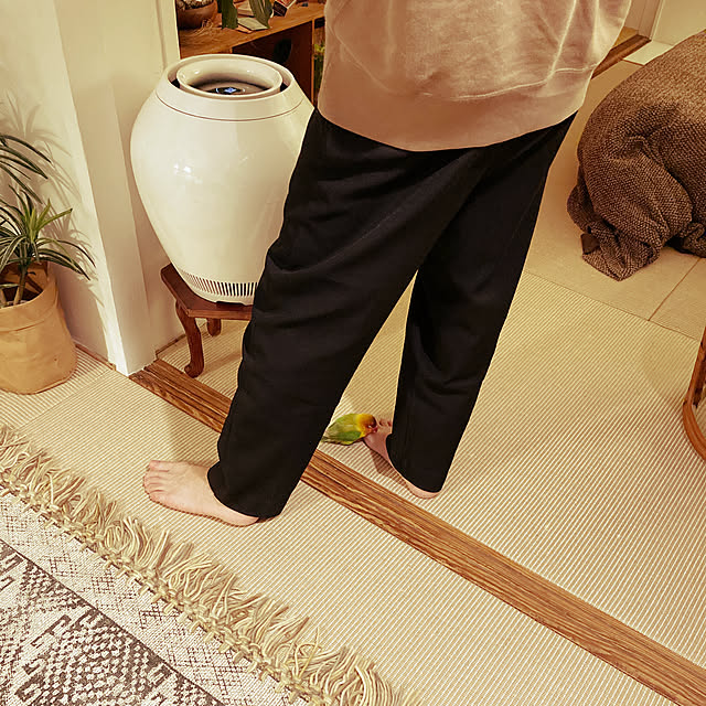 s.p.sunaoさんの実例写真