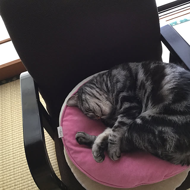 richanさんの実例写真